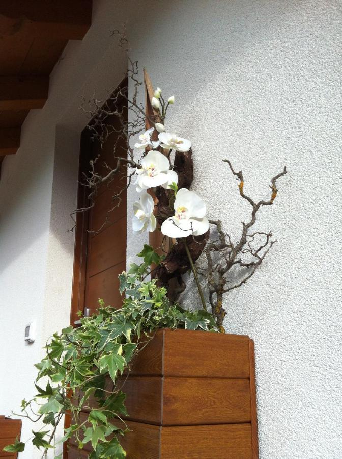 B&B Aria D'Argento & Relax Home Trento Dış mekan fotoğraf