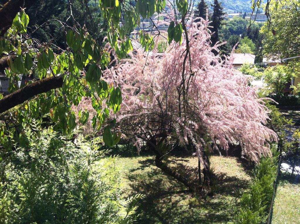 B&B Aria D'Argento & Relax Home Trento Dış mekan fotoğraf